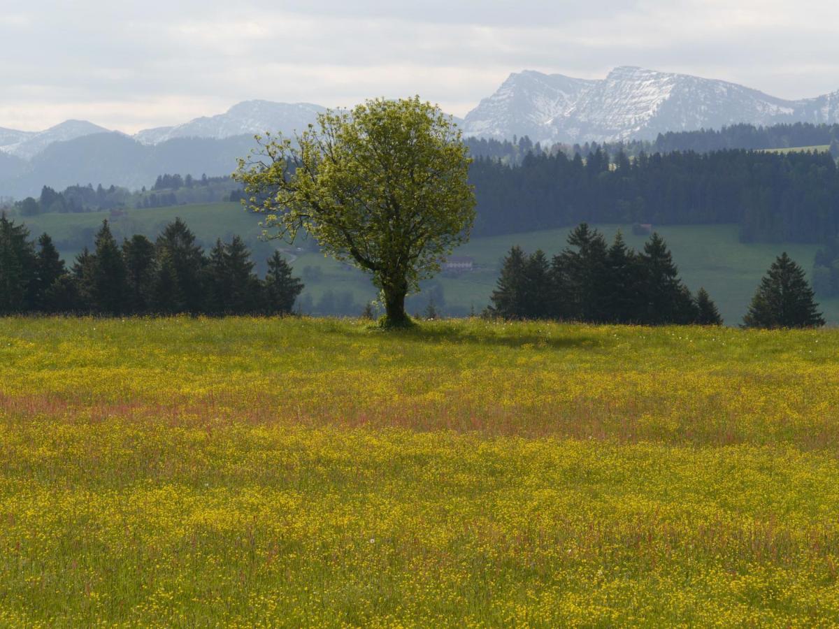 Hotel Post - Regionales Grosses Fruehstuecksbuffet - Auch Gf & Lf Scheidegg Exterior foto