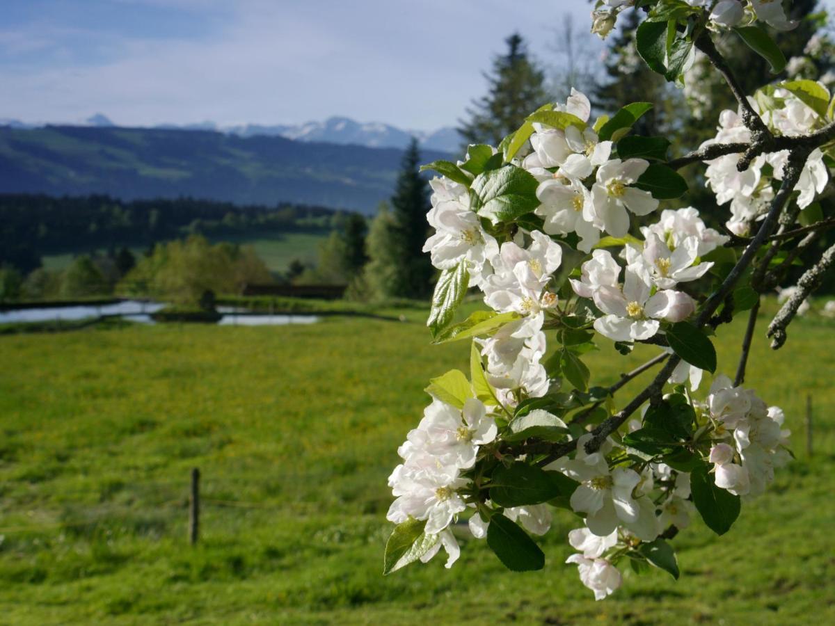 Hotel Post - Regionales Grosses Fruehstuecksbuffet - Auch Gf & Lf Scheidegg Exterior foto